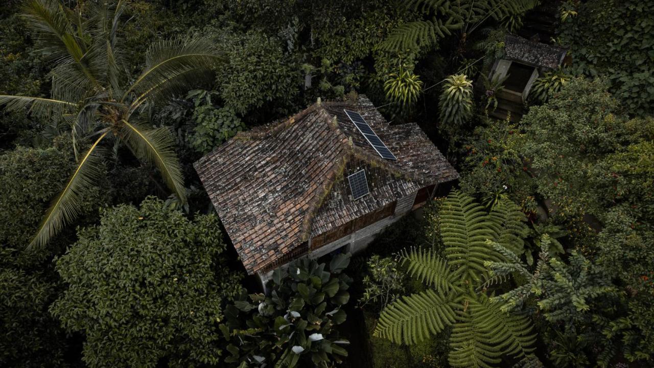 Kebun Kita Eco Lodge Padangan  Kültér fotó