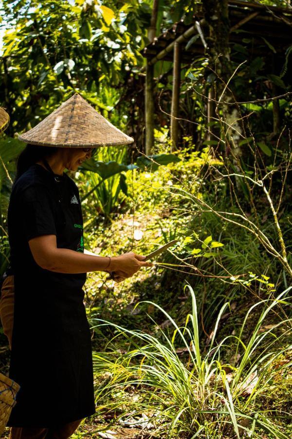 Kebun Kita Eco Lodge Padangan  Kültér fotó
