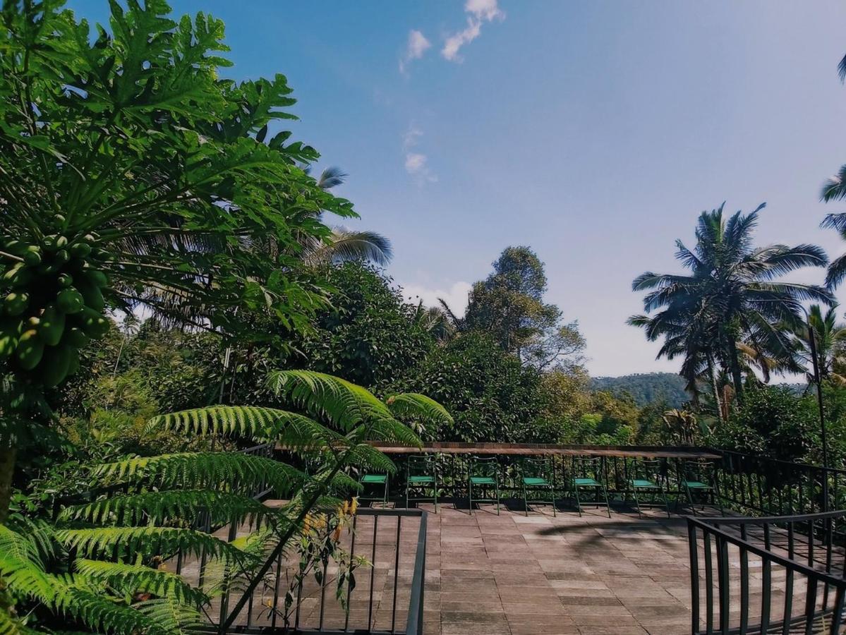 Kebun Kita Eco Lodge Padangan  Kültér fotó