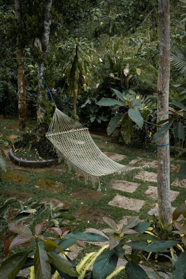 Kebun Kita Eco Lodge Padangan  Kültér fotó