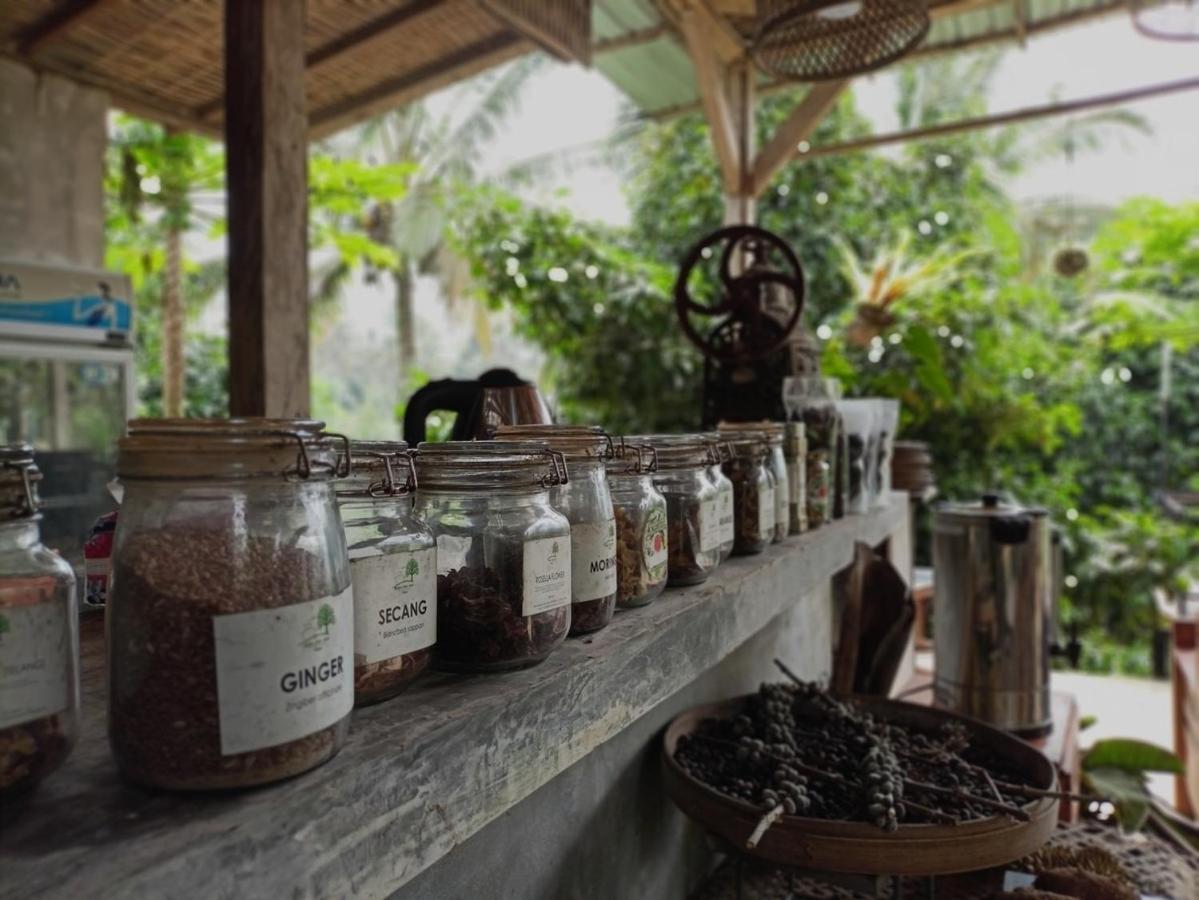 Kebun Kita Eco Lodge Padangan  Kültér fotó