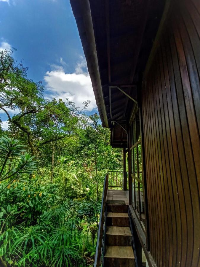 Kebun Kita Eco Lodge Padangan  Kültér fotó