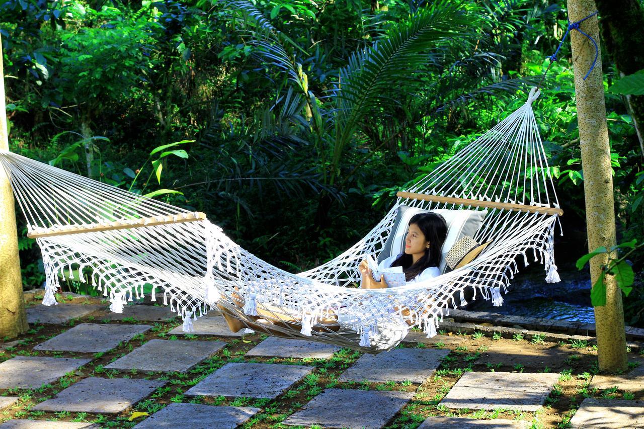 Kebun Kita Eco Lodge Padangan  Kültér fotó