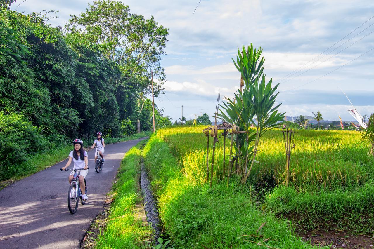 Kebun Kita Eco Lodge Padangan  Kültér fotó