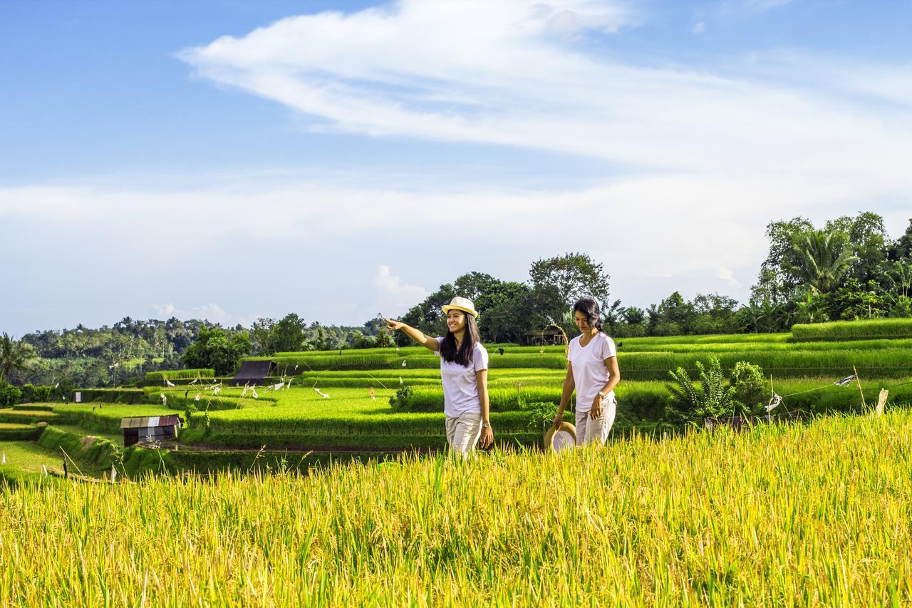 Kebun Kita Eco Lodge Padangan  Kültér fotó